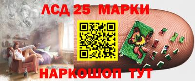 мдпв Будённовск