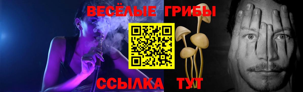 Галлюциногенные грибы Psilocybine cubensis Богданович